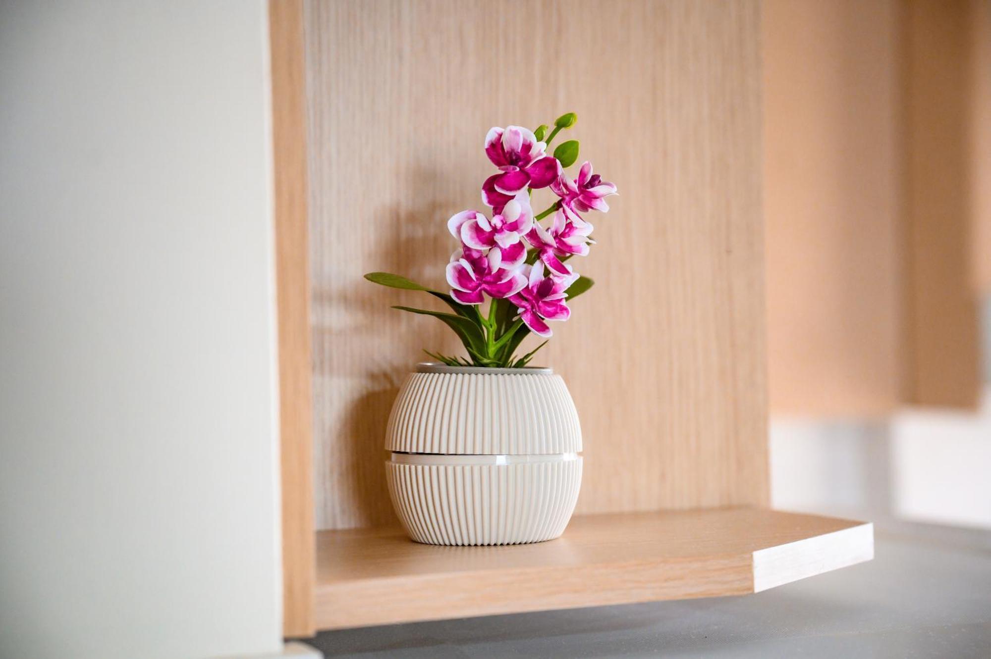 Iliahtida Apartments Rovies Luaran gambar
